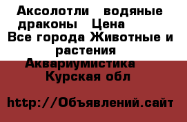 Аксолотли / водяные драконы › Цена ­ 500 - Все города Животные и растения » Аквариумистика   . Курская обл.